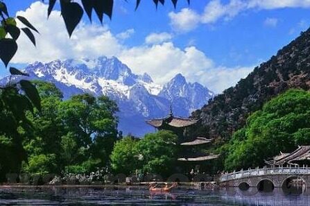 世界杯 冰岛球员-冰岛足球，世界杯舞台上的坚韧与奇迹